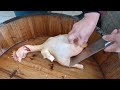 Pig Slaughter - The whole process of killing chickens in rural areas