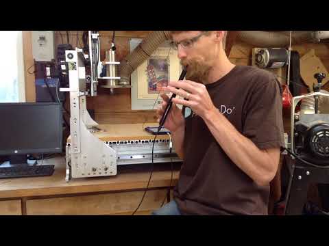 WARBL tinwhistle demo — The Last Rose of Summer