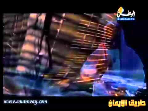 قصص الأنبياء _ نبي الله يونس عليه السلام والحوت 
