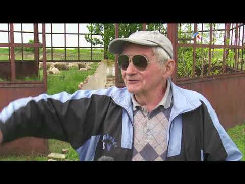 Ivanda: întâlnim un pelerin pornit pe drumul spre satul copilăriei sale #Sârbă @TVRTM