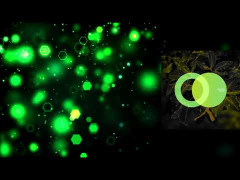 Jam Rumi - Stranded (Original Mix) [Area Verde]