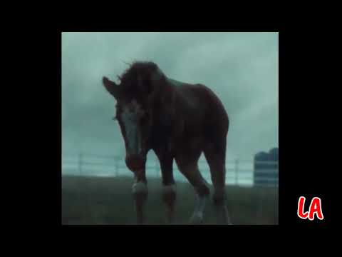 The New Budweiser Commercial Everyone's Talking About