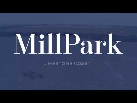 Lot 561: The Autumn Sun x Khandallah colt