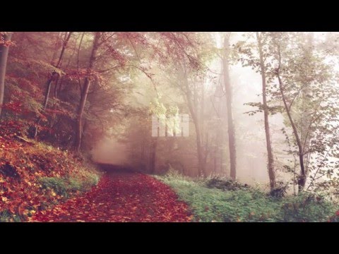 Jessie Siren - The Sway