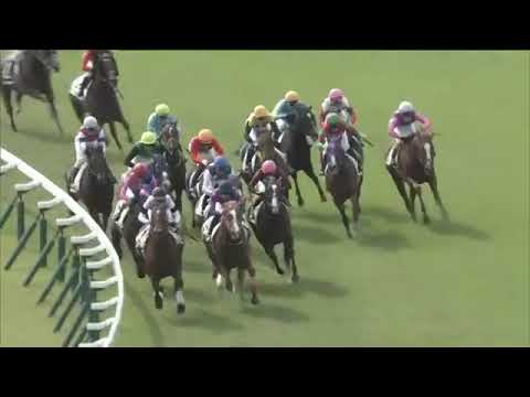 2019.10.20 2yo Newcomer (JPN) - Takeru Lusty