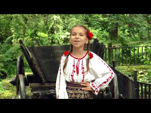 Alexandra Sofei   De n-ar fi neica cu drag