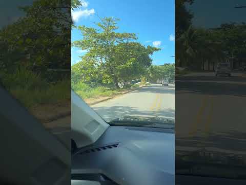 Coqueiro Seco Alagoas