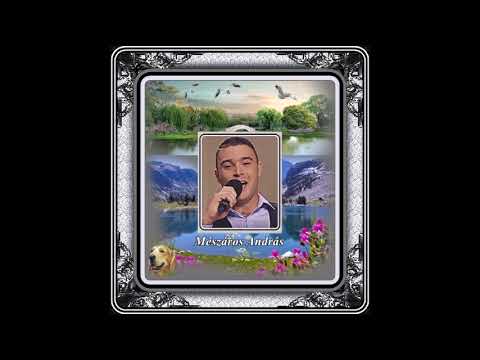 Mészáros András : Az eke (az ökör) a földet nem magának szántja