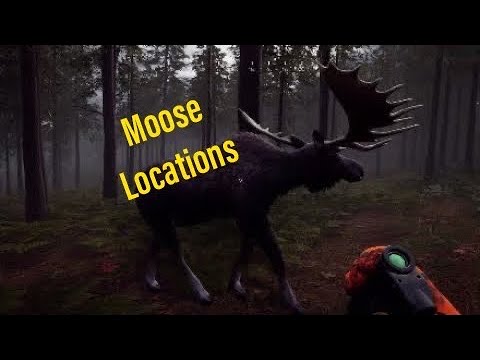 Hunting Simulator 2 - Moose Locations