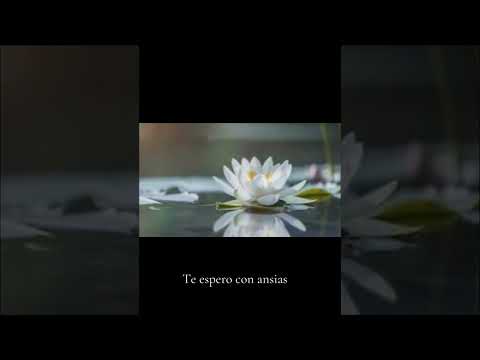 Te espero con ansias