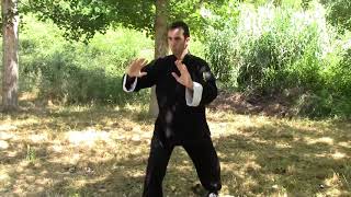 Taichi  4