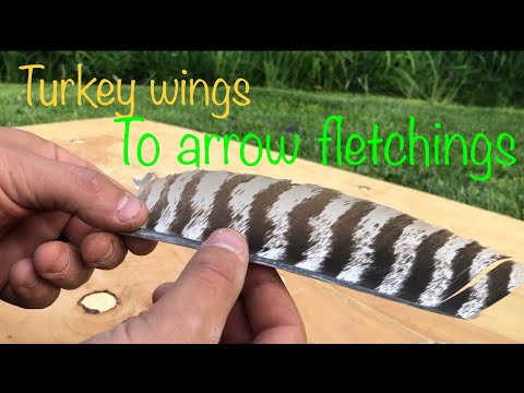 Turkey Wings to Feather Fletching - Part 1
