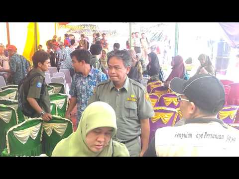 Kumpul-Kumpul THL-TBPP di MAUK