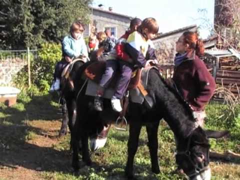 EXCURSIO  AMB  BURRO  I TRENET