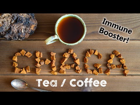 Quick Chaga Tea aka Chaga Coffee Brewing Instructions | An Antioxidant Powerhouse Drink!