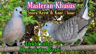 Download lagu Masteran, Khusus suara kerot & bekur putar ini di jamin cepat gacor mp3 Download lagu Masteran, Khusus suara kerot & bekur putar ini di jamin cepat gacor mp3