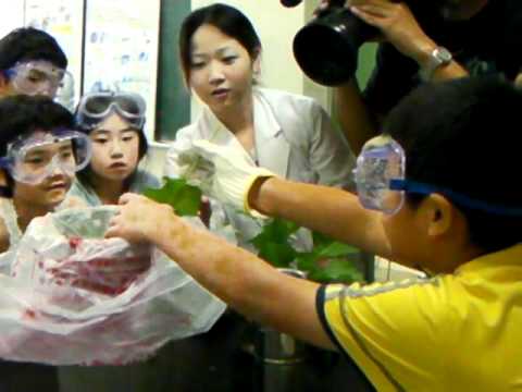 温度をあやつった実験をしよう！①（工学資源学部２コース）