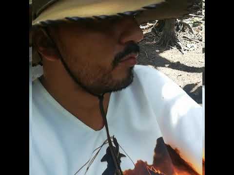 Mujer que no joda es macho