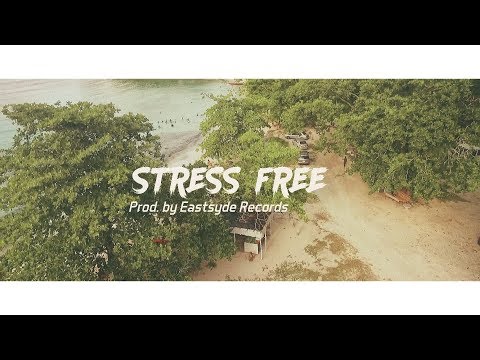 Chronic Law - Stress Free
