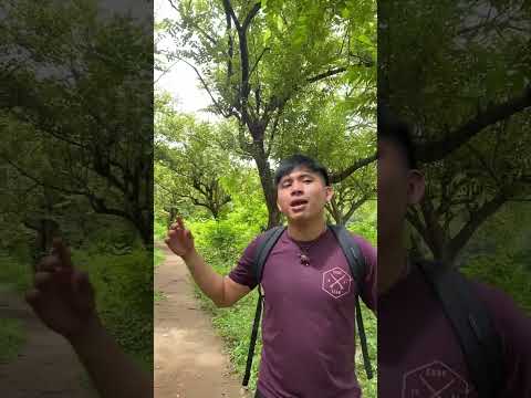 Conoce la antigua pista de aviones en soloy, comarca Ngäbe Buglé #travel #history #viajes #drone