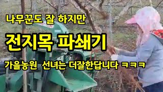 복숭아나무 전지목 파쇄 [복숭아재배]