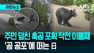 [이런뉴스] 日, 주민 4명 덮치고 달아난 흑곰…“이틀째 대치중” / KBS 2026.06.03.