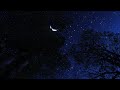 Cricket Noise 10 Hours Summer Night Sounds For Sleeping Binaural Nighttime Ambience