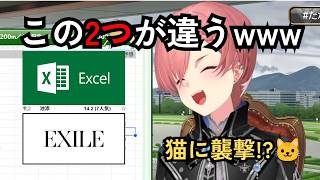 61姐被貓偷襲&EXCEL拼錯超好笑w‍ww | 競馬に真剣なルイ姉にゃんちゃん襲撃🐱EXILE事件で大爆笑ｗ【鷹嶺琉依/鷹嶺ルイ】【ホロライブ切り抜き】