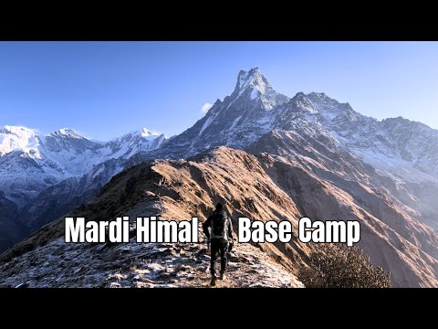 Mardi Base Camp trek in 4 days | Mardi Himal Trek | We tried to reach Upper Base Camp and ..