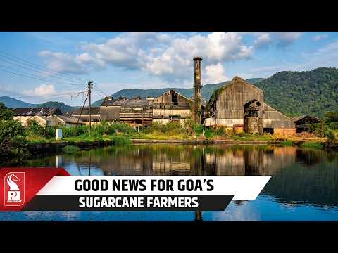 Sanjivani Sugar Factory Revival Raises Hopes Among Goa’s Sugarcane Farmers