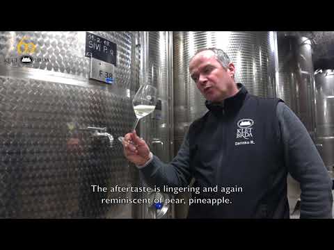 Pinot Grigio Quercus 2017