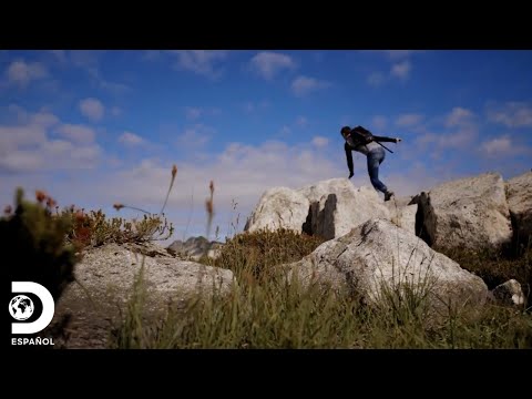 Inspeccionando las ruinas de un avión en lo más alto de un cañón | La Maldición del Oro | Discovery