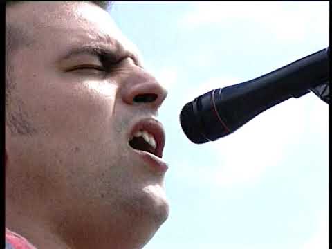 Nordwind   Donnerhall Oldschool OI