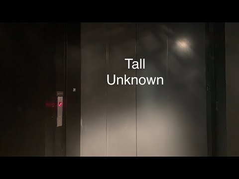 Massive Tall Elevator at Museum of Fine Arts; Boston MA