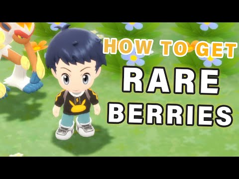 How to get RARE Berries ► Pokemon Brilliant Diamond | BDSP