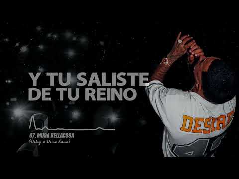 Fronti - Musa Bellacosa (Visualizer)