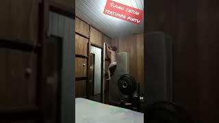 Download lagu VIDEO LUCU - SUDAH JATUH TERTIMPA PINTU mp3 Download lagu VIDEO LUCU - SUDAH JATUH TERTIMPA PINTU mp3