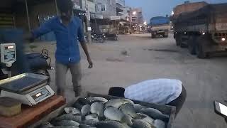 preview picture of video 'K m Subash bangarupalem fish market'