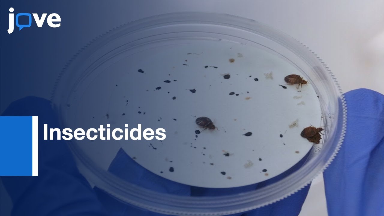 Insecticide Efficacy Evaluation against Bed bugs, Egg and first Instar | Protocol Preview