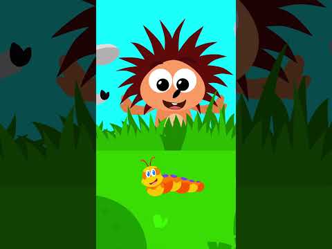 Haydi Tekrarla - Küçük Tırtıl 🐛 - Kirpi Piki Çizgi Film Çocuk Şarkıları #çocukşarkıları