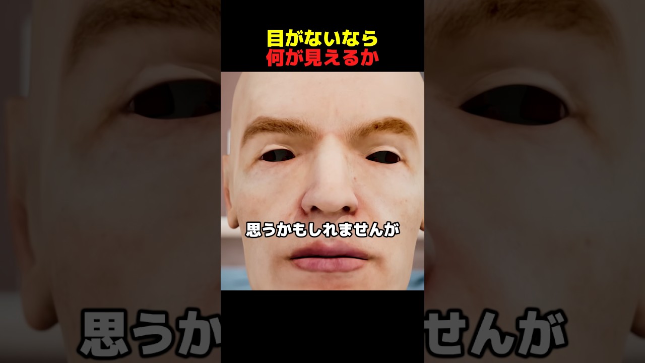 目がないなら何が見えるか