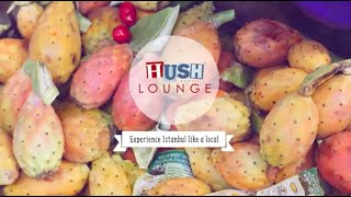 Hush Hostel Lounge