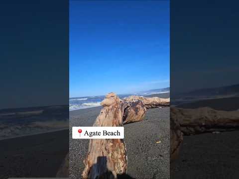 Agate Beach - Sue-Meg State Park #thingstodoCalifornia #shorts #viral #blowup