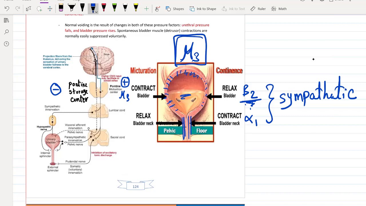 7. Gynecology part 7 or USMLE Step 2 CK - (Free trial course in Description Below)