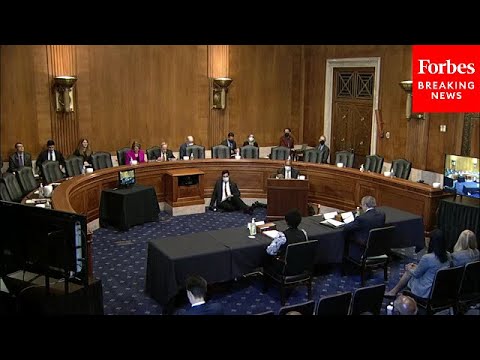 Senate Environment And Public Works Committee Holds Hearing On Nominees