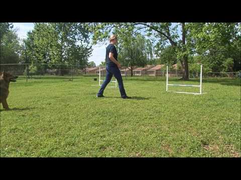 Chief Agility 2 4 13 17 push and pull