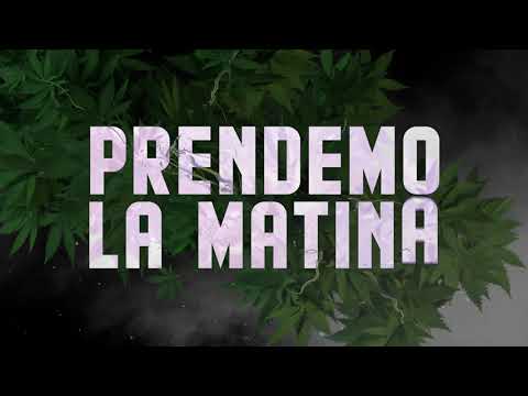 Shelow Shaq x Chyno Nyno x Mackie x BBinc - No Tamo En Gente