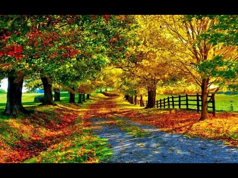 Muzica divina de relaxare Toamna in mii de culori ! FĂRĂ RECLAME !