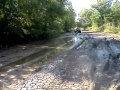 Grizzly Gettin It Sulphur River Trails