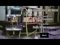 The Stone Roses | Sally Cinnamon (Official Audio)